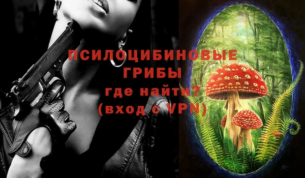 ешки Гусев