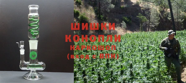ешки Гусев