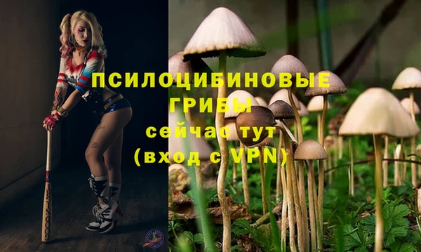 ешки Гусев