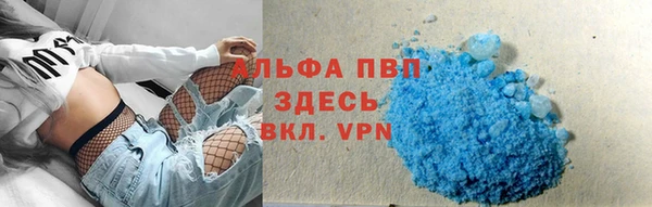 ешки Гусев